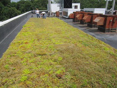 Green Roof
