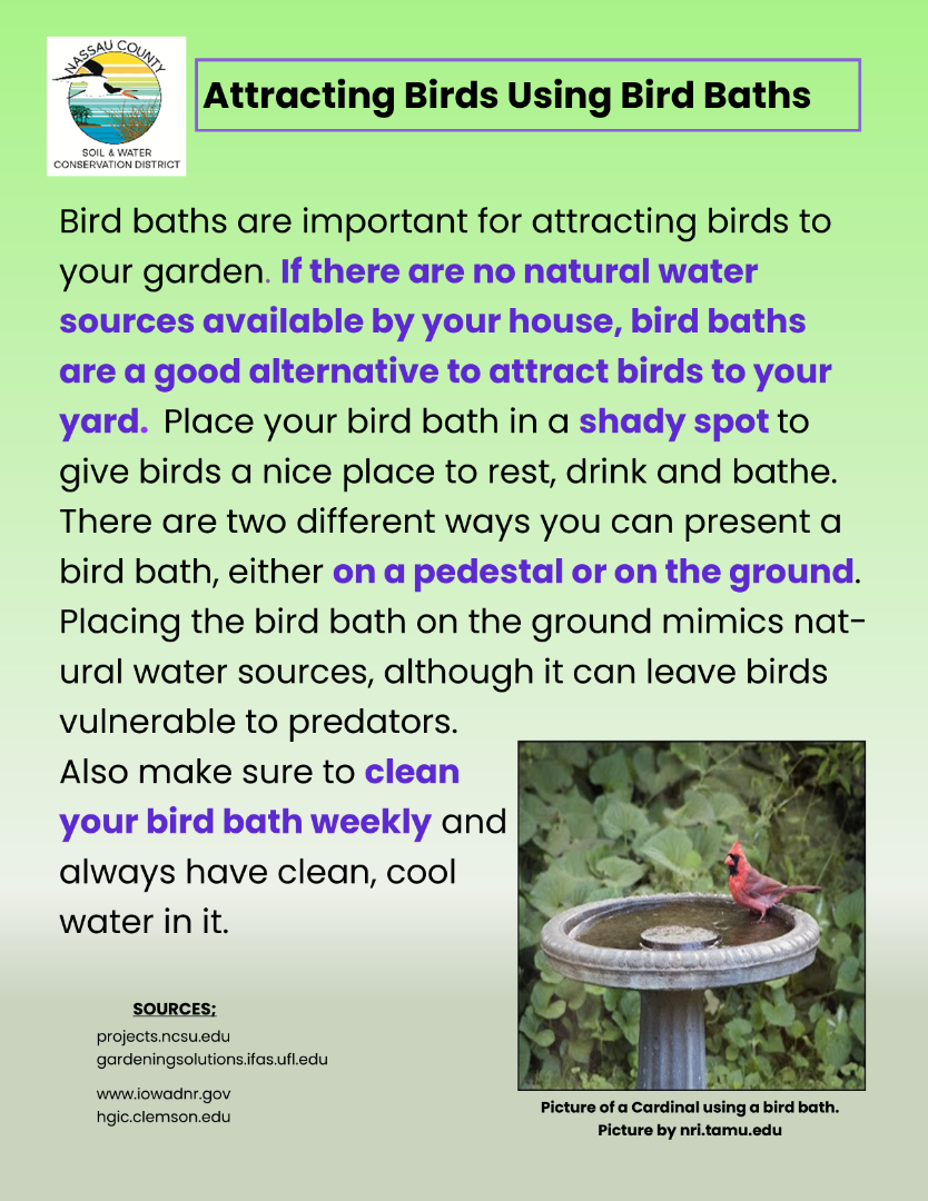 Attracting birds using bird baths
