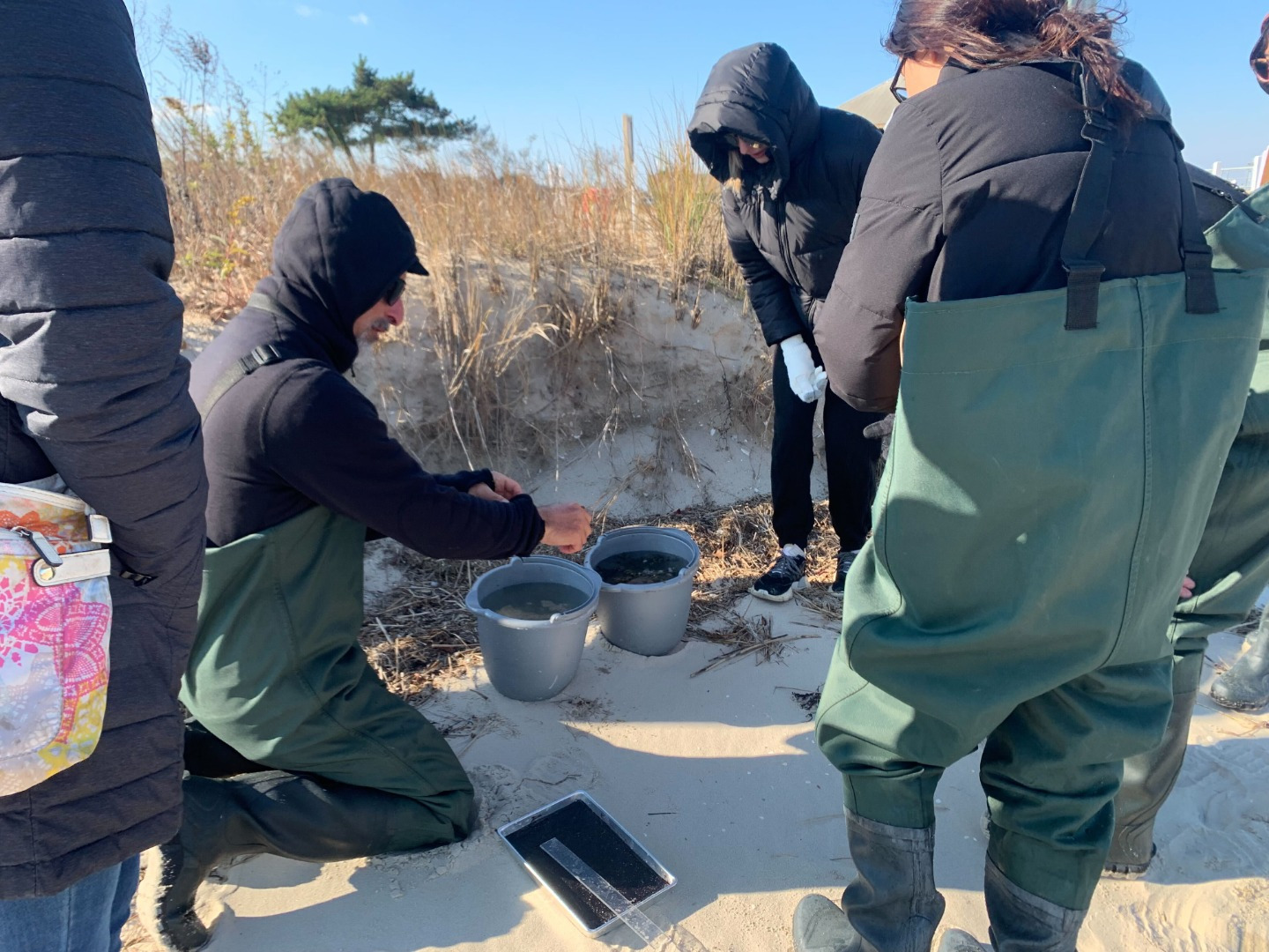 Educator showing students biological sampling