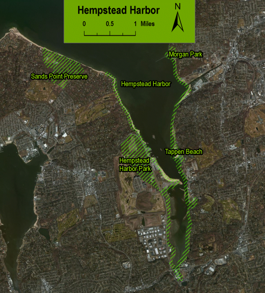 Invasive removal and native planting