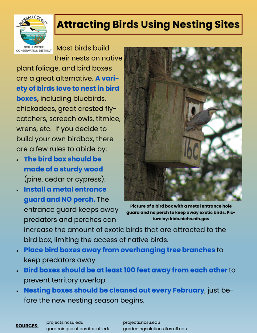 Attracting birds using nesting sites 