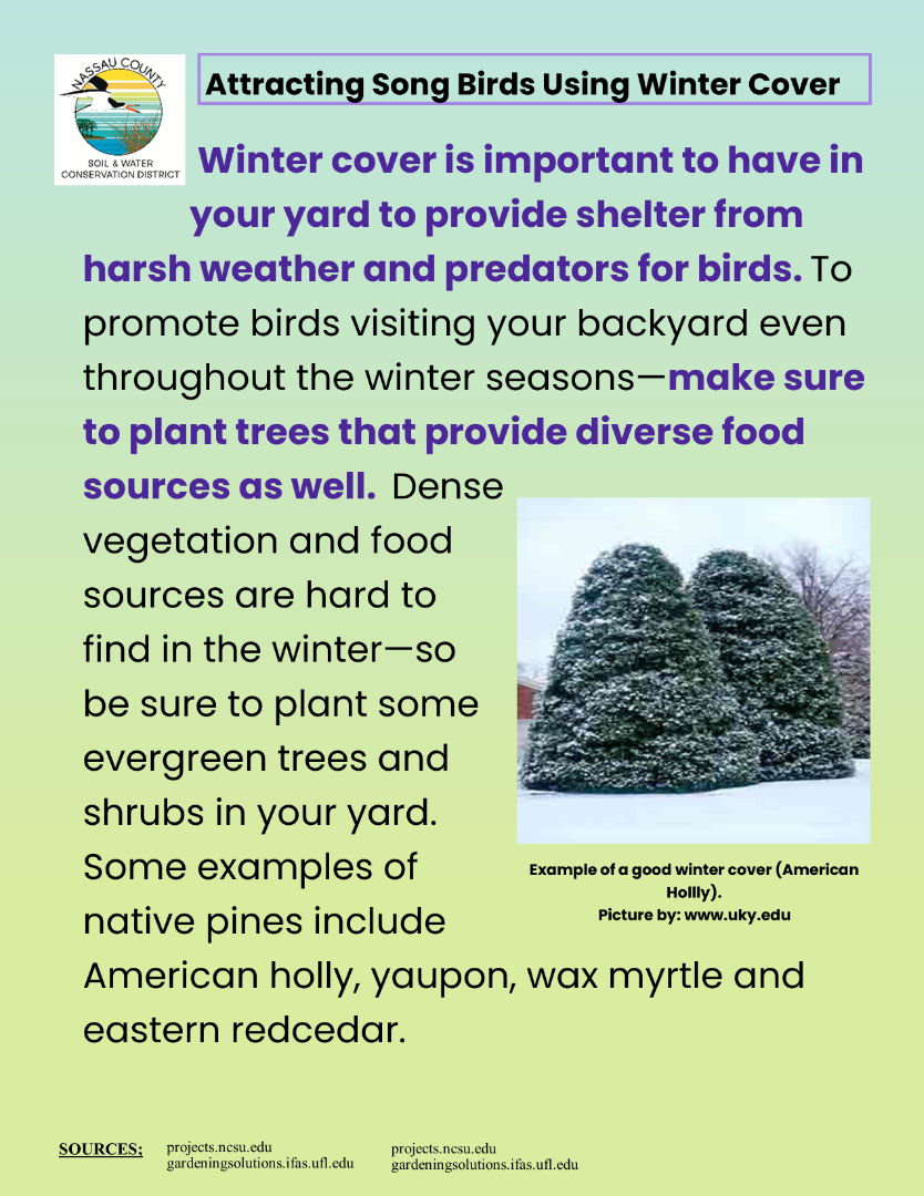 Attracting songbirds using winter cover