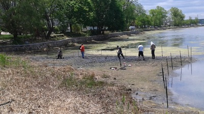 Project area at Mill Pond