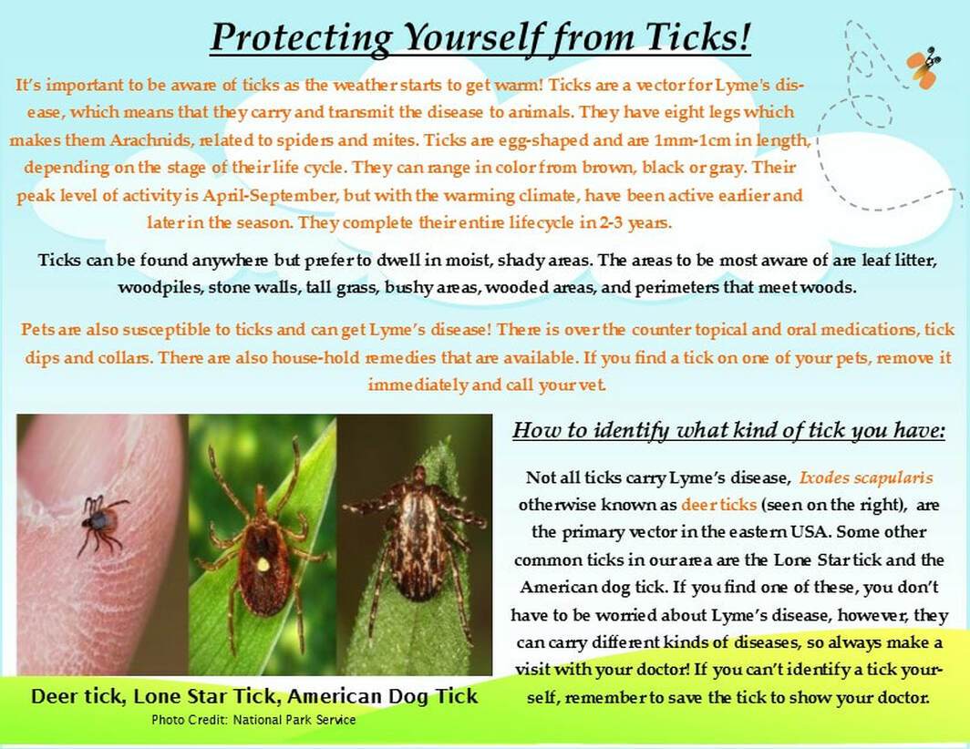 Protecting yourself from ticks flyer 