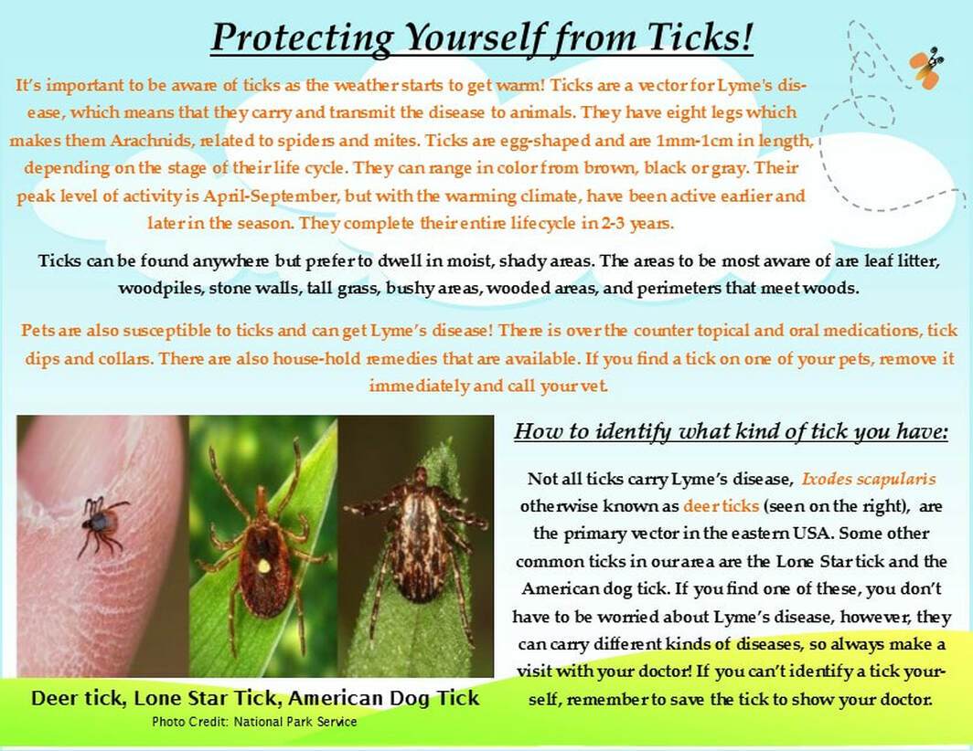 Protecting yourself from ticks flyer