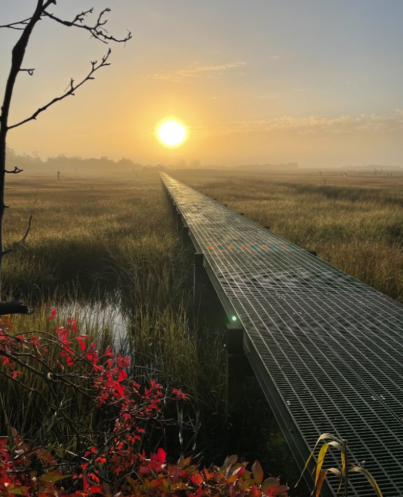 Marine Nature Study Area - Oceanside