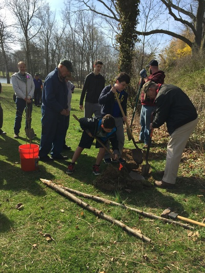 Student volunteer workin digging holes to plant trees together