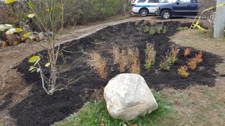 Cedarmere Preserve Raingarden 1