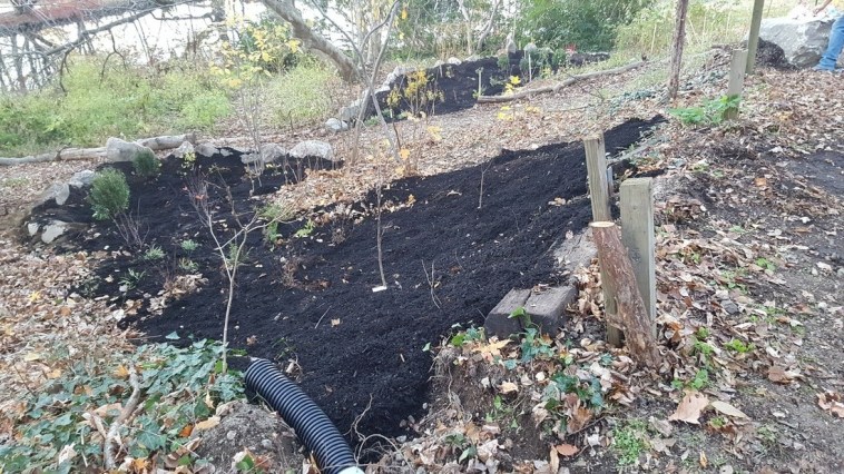 Cedarmere Preserve Raingarden
