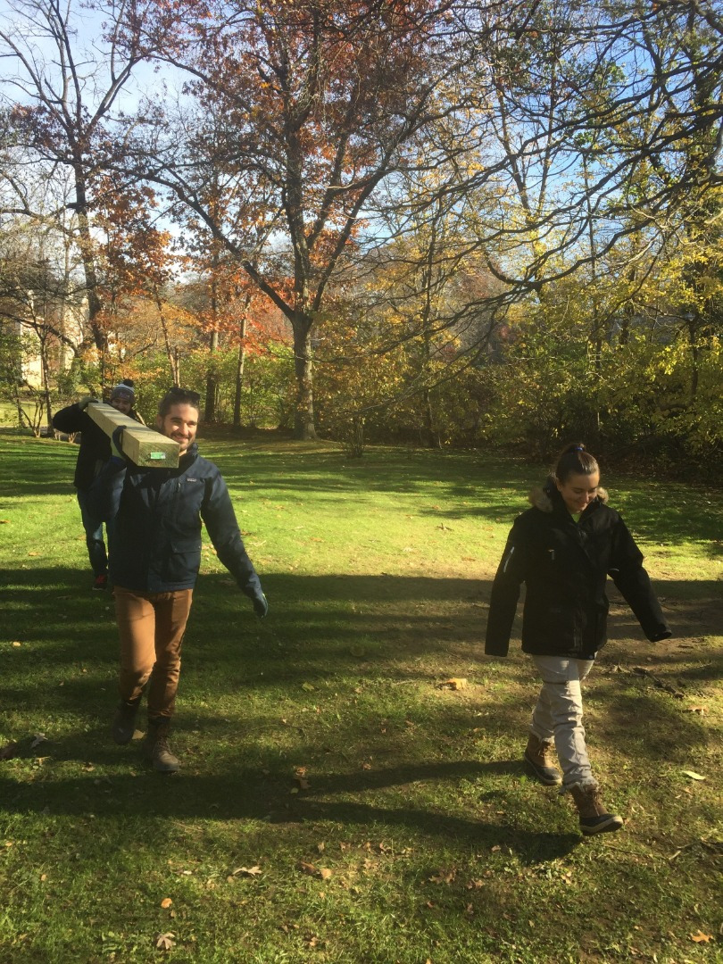 Installing a batbox in Pond Park