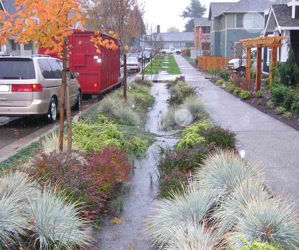 Catch Basin
