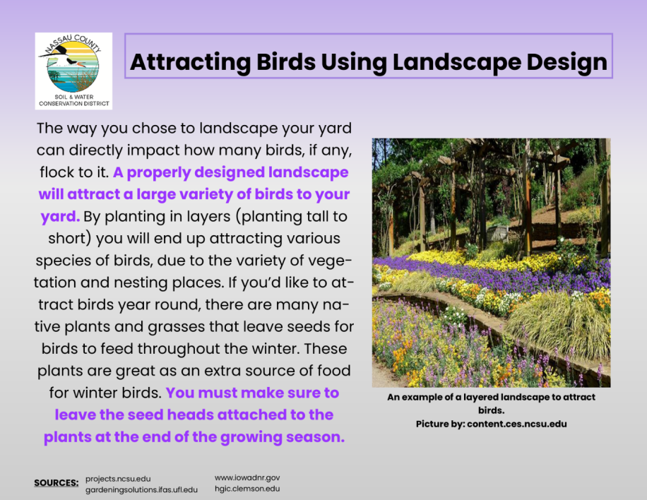 Attracting Birds using landscape design
