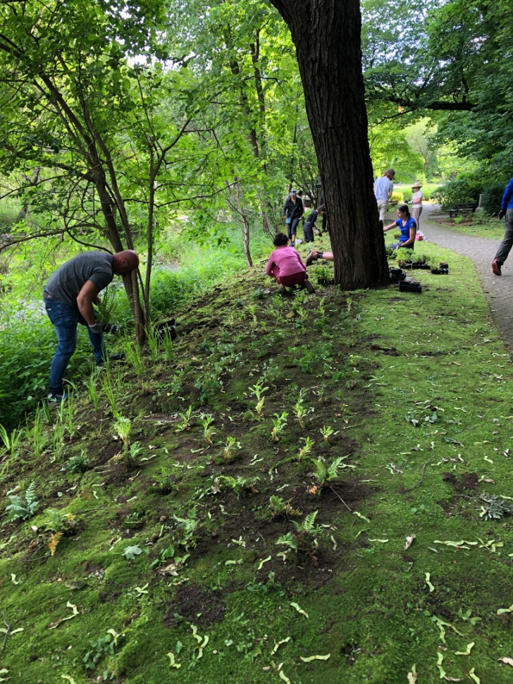 Planting at Baxters Pond