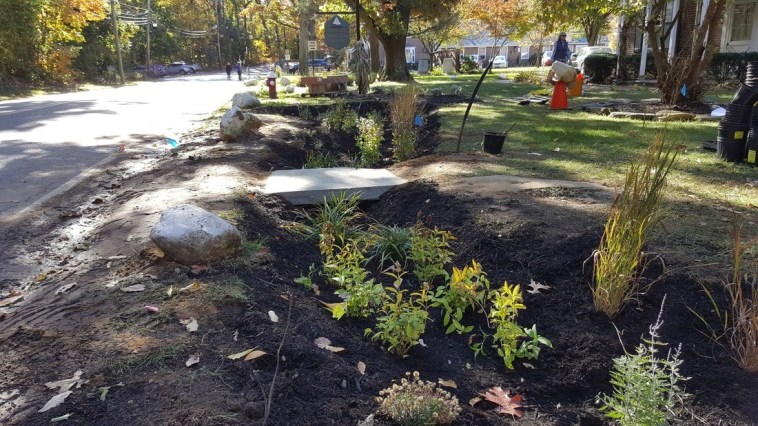 Rock Bridge in Raingarden 2